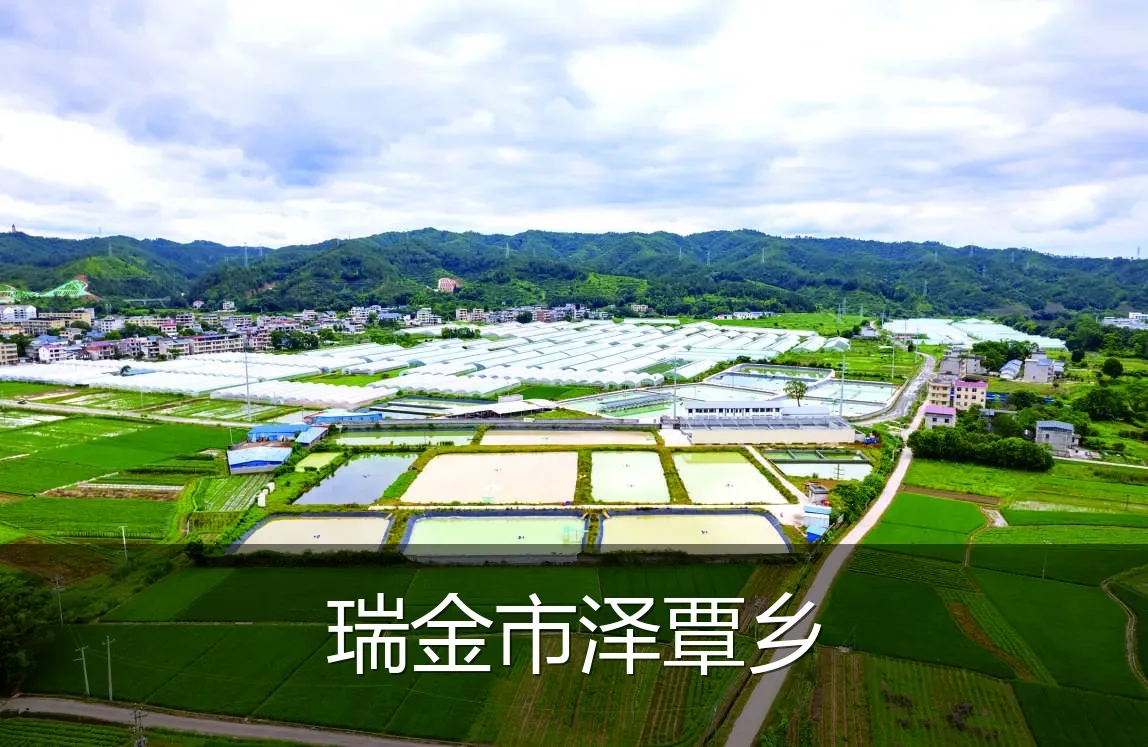 瑞金市泽覃乡